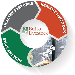 Betta Livestock Animal Prodcution Services